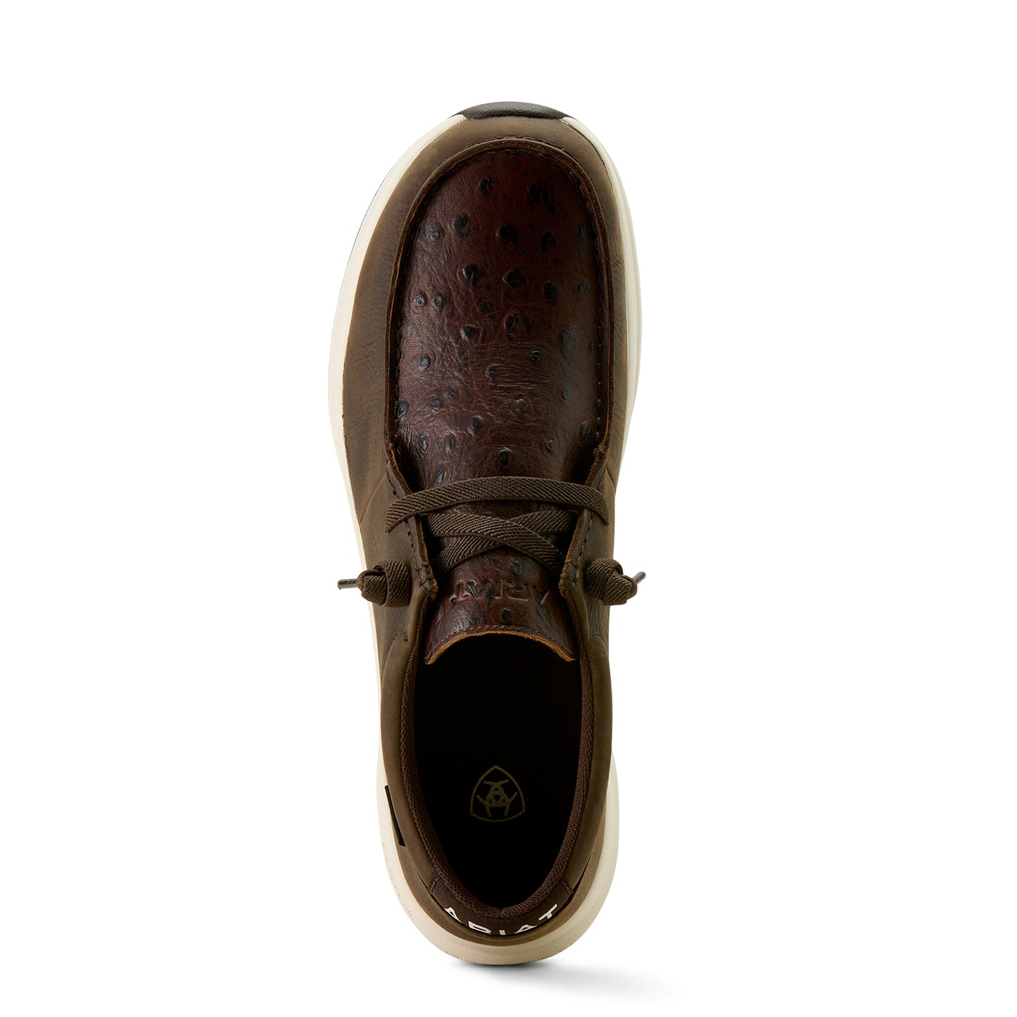 Ariat Buckeye Dark Chocolate Ostrich Waterproof Shoe