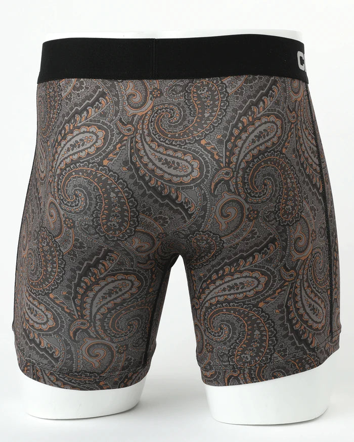 Cinch 6" Paisley Boxer Breifs