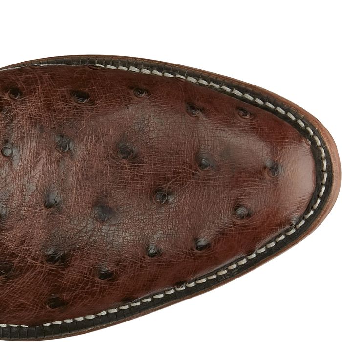 Tony Lama Mccandles 13" Chocolate Brown Bourbon Full Quill Ostrich Boot