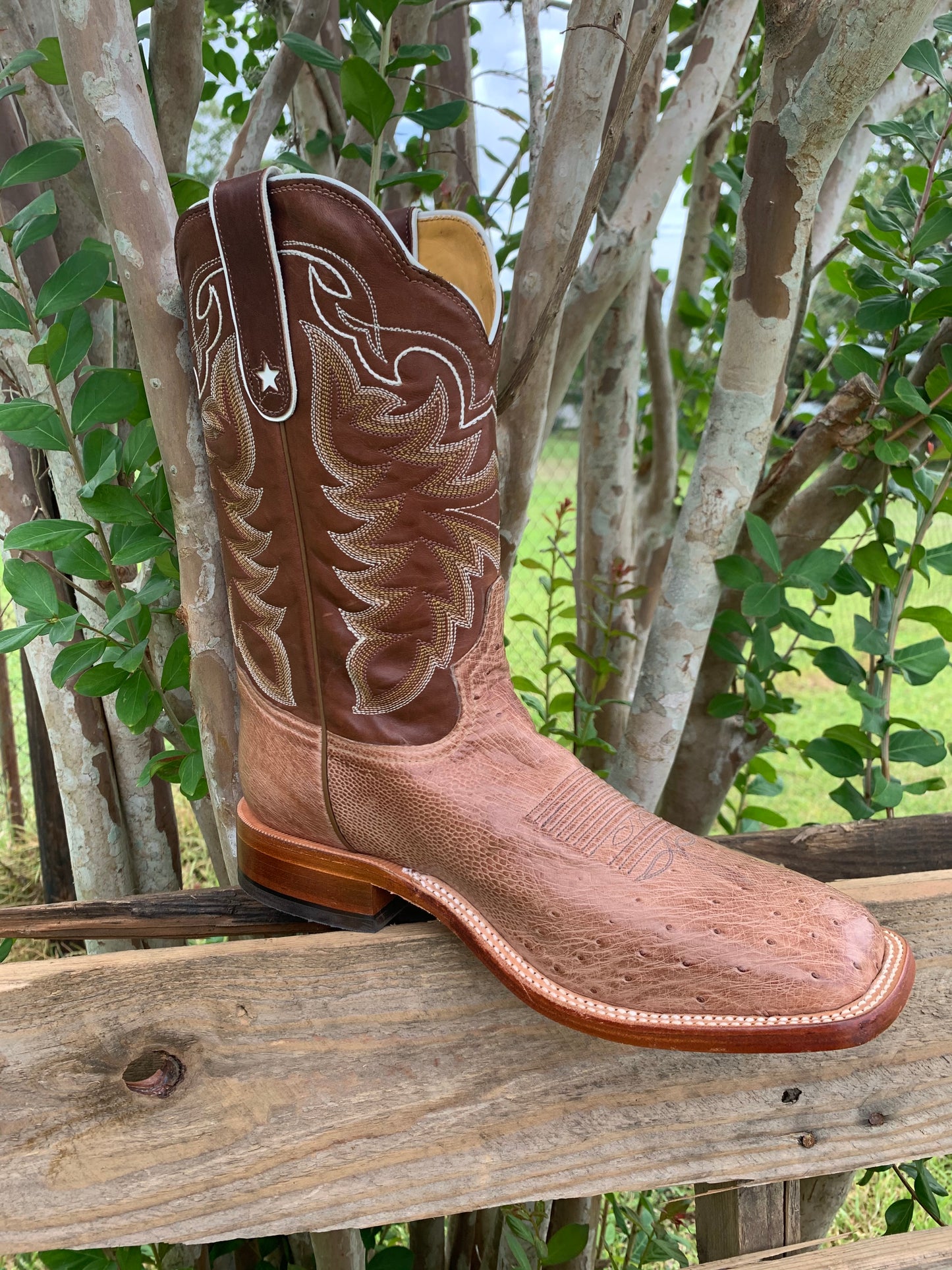 TONY LAMA MEN'S TRAVIS CHOCOLATE SMOOTH QUILL OSTRICH BOOT