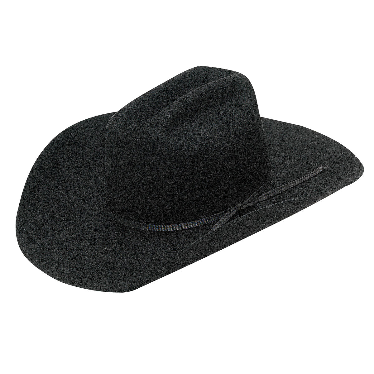 TWISTER YOUTH BLACK WOOL FELT HAT – Corral Western Wear