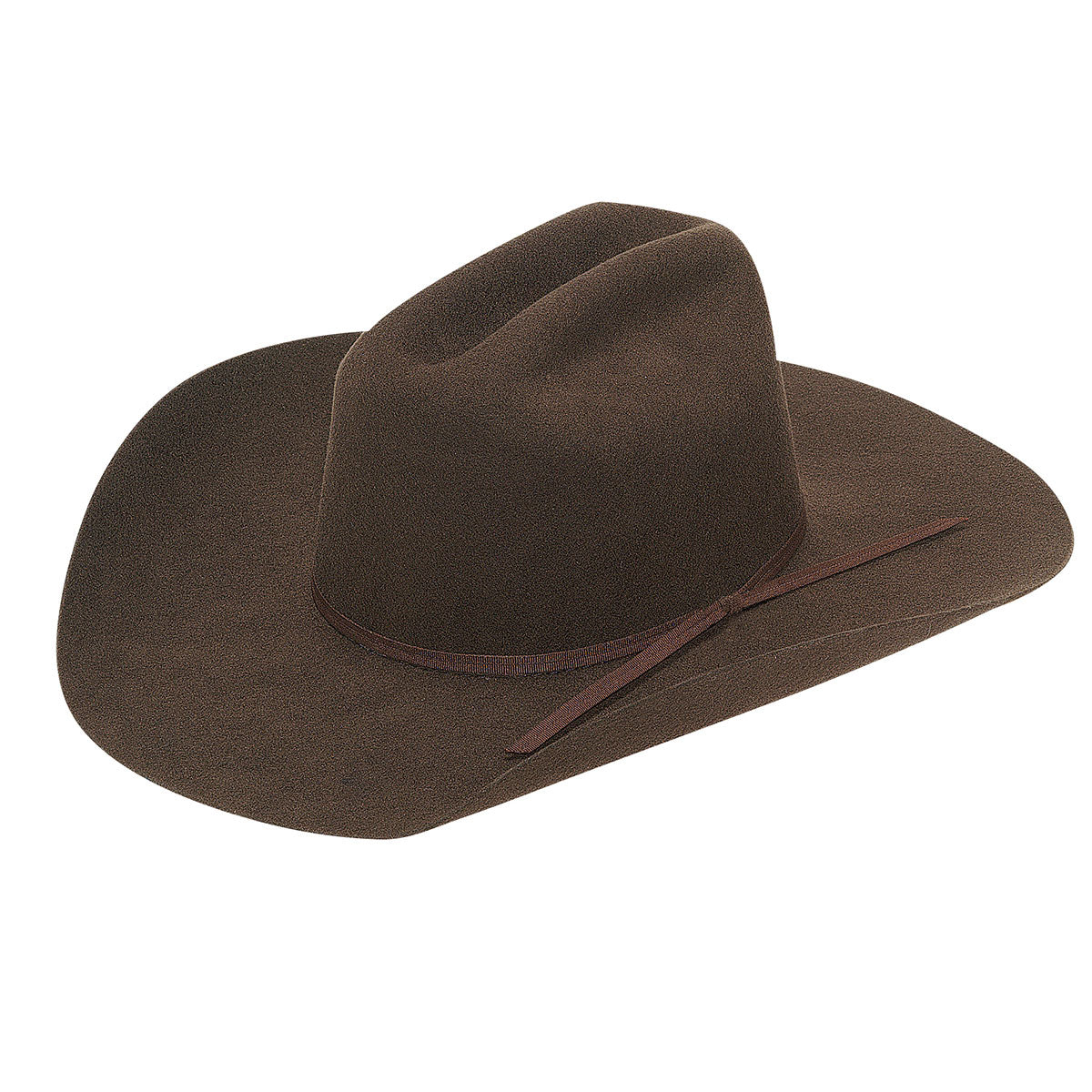 Twister Youth Brown Wool Felt Hat
