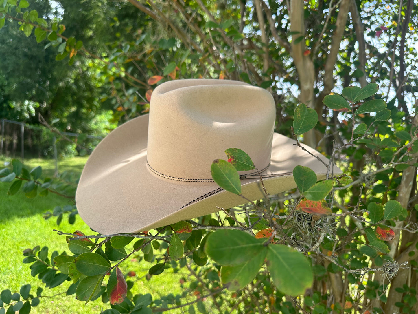 Resistol Copper Ridge 6X Butterscotch Cowboy Hat