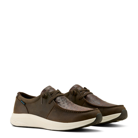 Ariat Buckeye Dark Chocolate Ostrich Waterproof Shoe