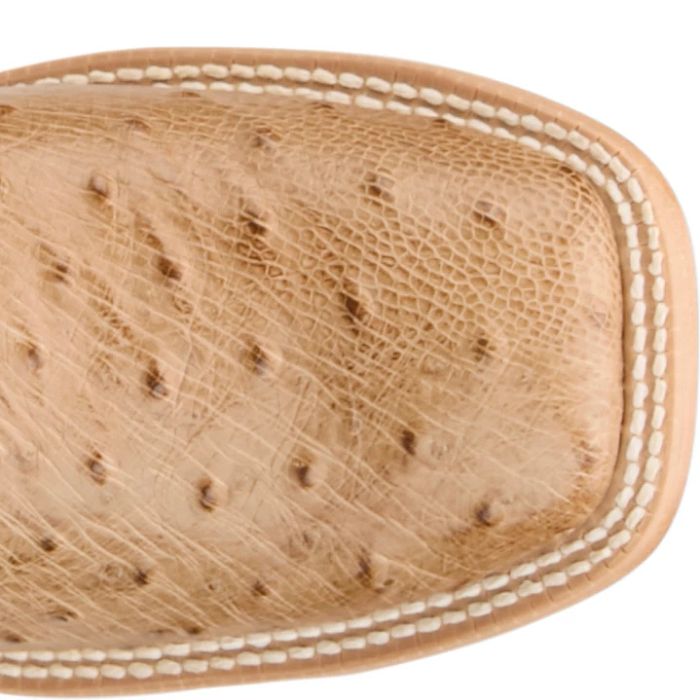Tony Lama Cheyenne Tan 11" Ostrich Square Toe Boot