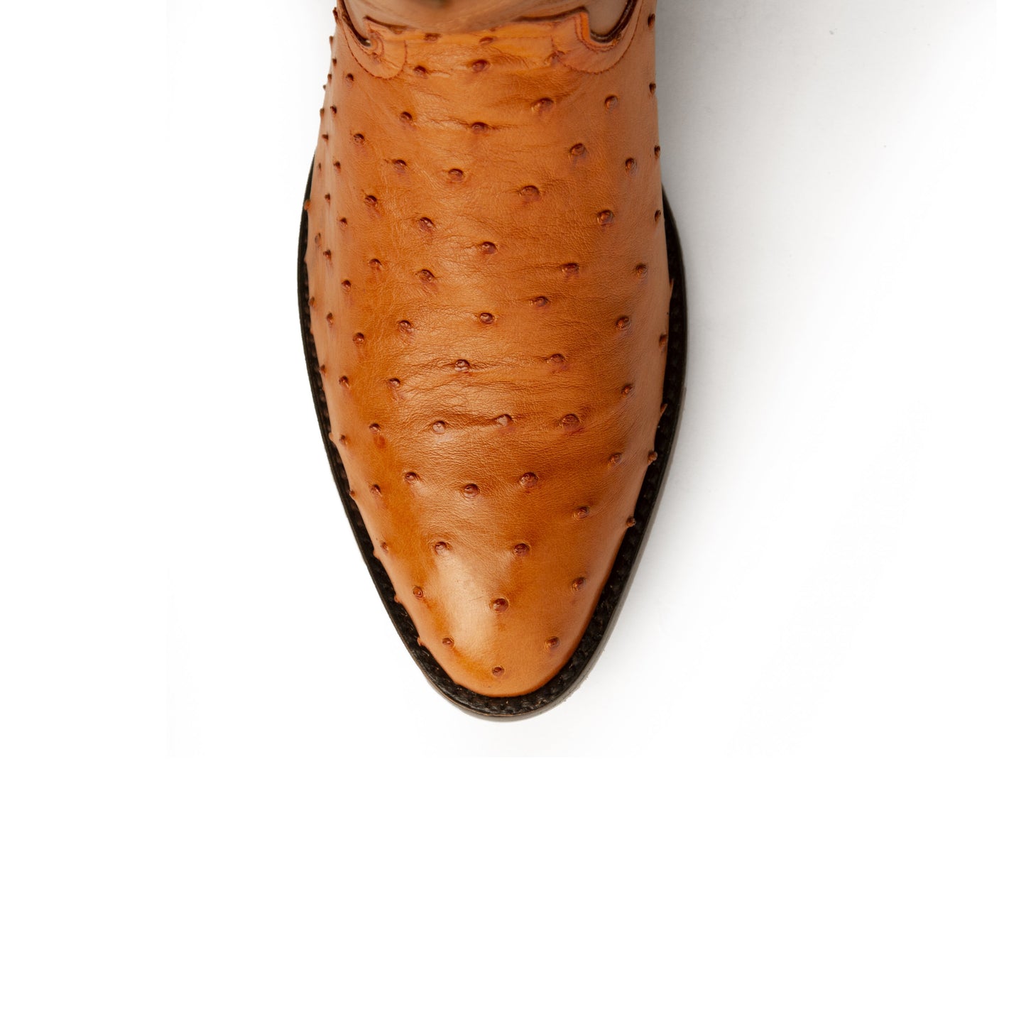 Ferrini Colt Cognac Full Quill Ostrich Cowboy Boot