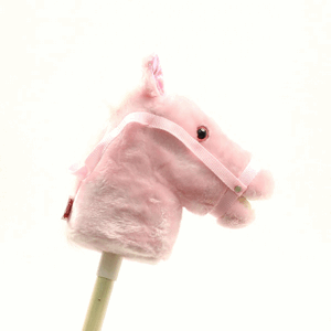 THE TALKING STICK HORSE